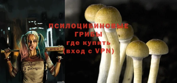 хмурый Баксан